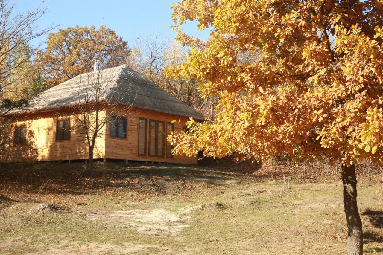 Козацька Фортеця Pliskachevka المظهر الخارجي الصورة