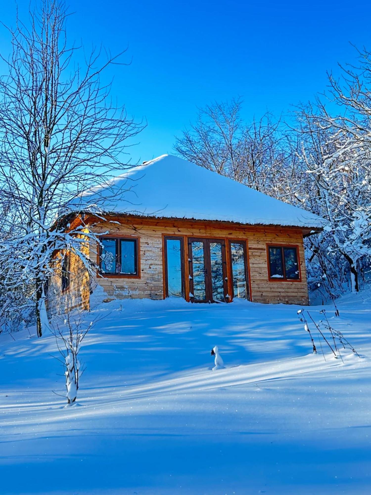 Козацька Фортеця Pliskachevka المظهر الخارجي الصورة